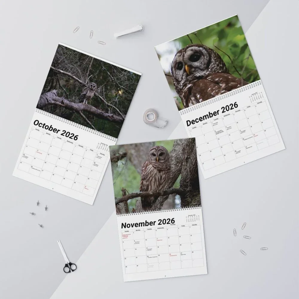 Barred Owl Wall Calendar